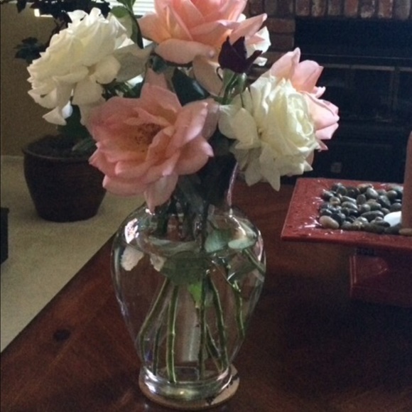 Meet your Posher, Michelle - Picture 11 of 15